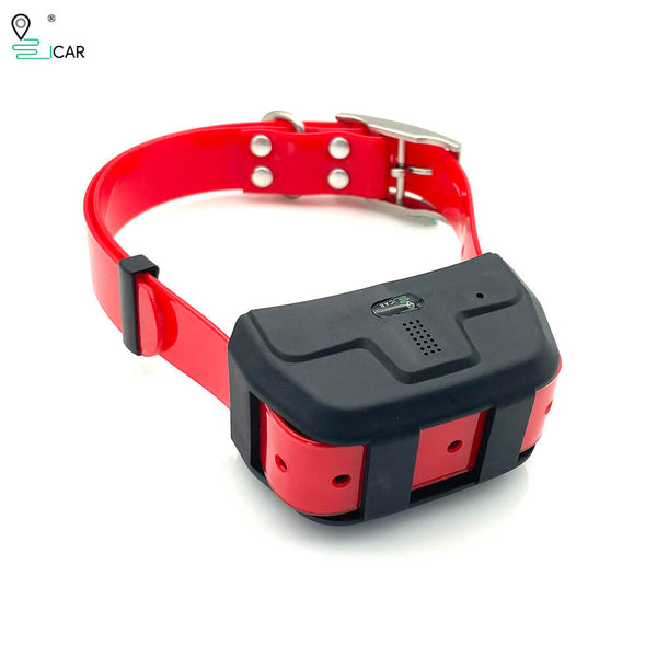 Canine gps 2024 tracking collar